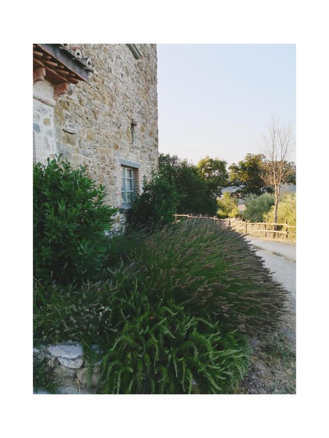 Podere Paradiso Villa Magione Bagian luar foto