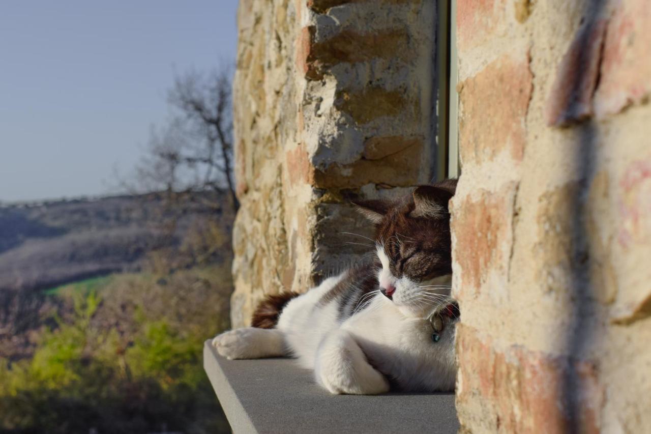 Podere Paradiso Villa Magione Bagian luar foto