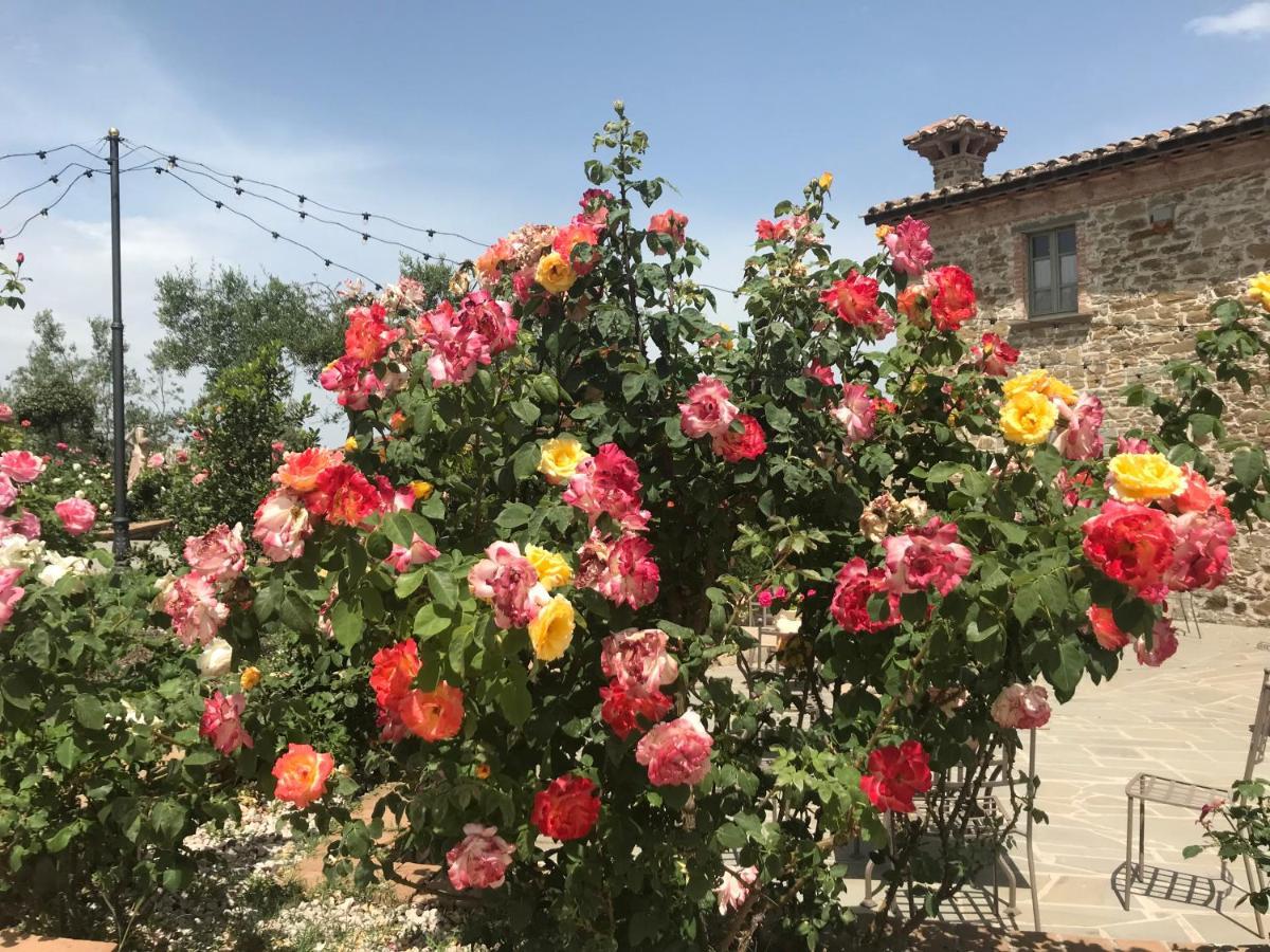 Podere Paradiso Villa Magione Bagian luar foto